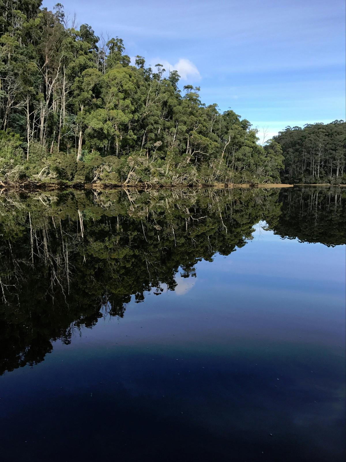 Leven River Cruise