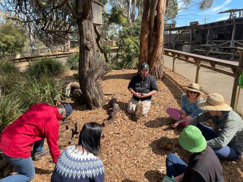 Localing Private Tours Tasmania