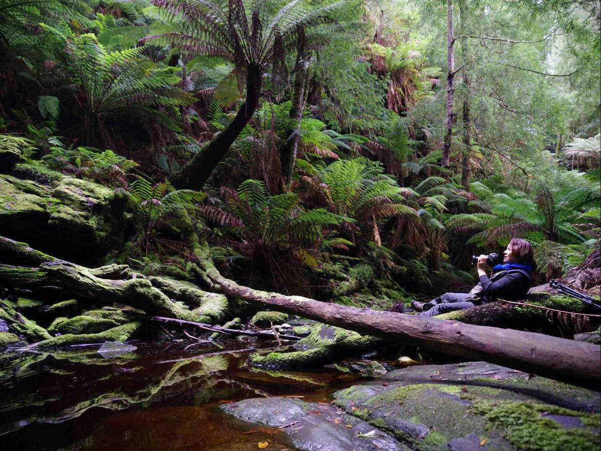 Tarkine Photography Workshop