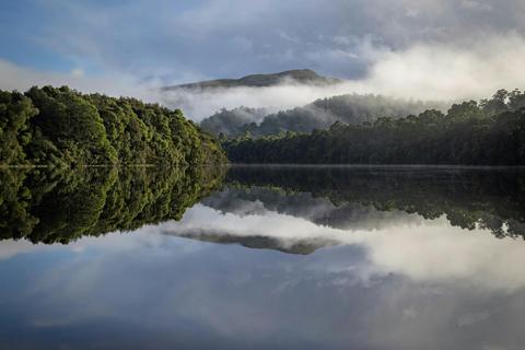 The Complete Tarkine: Rainforest & Coast 7 Day Photography Workshop