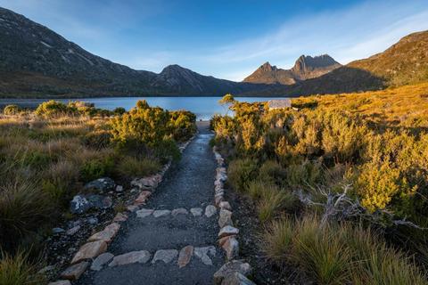 Cradle Mountain ~ Freycinet ~ Mt Field