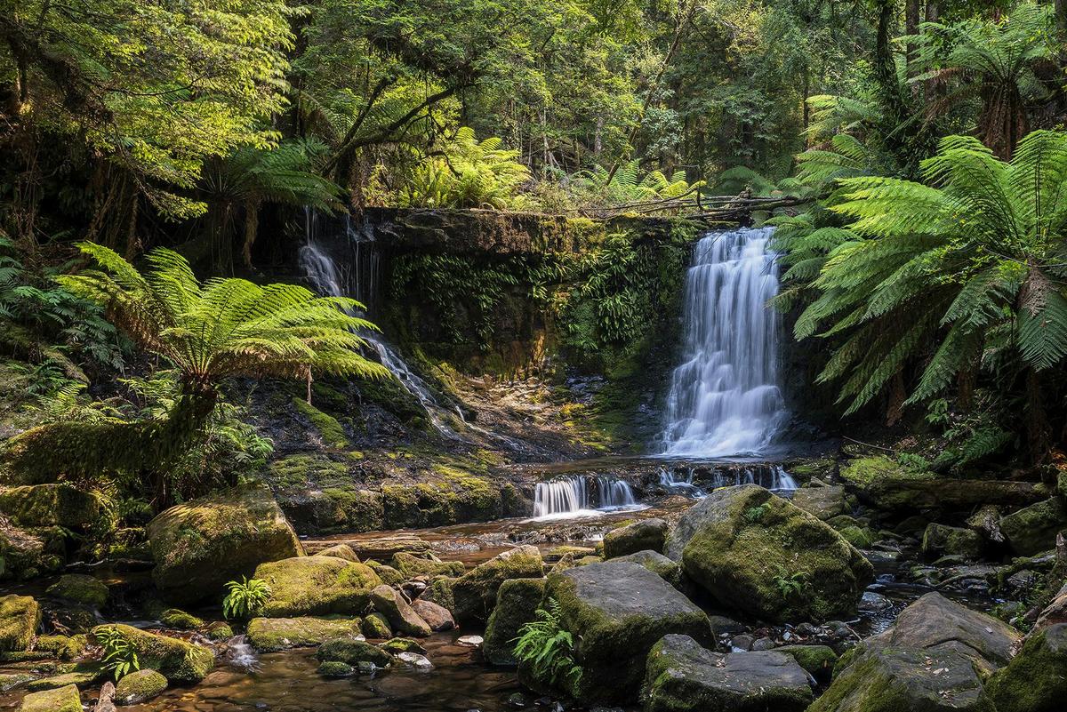 Mt Field and Styx Valley Photography Workshop