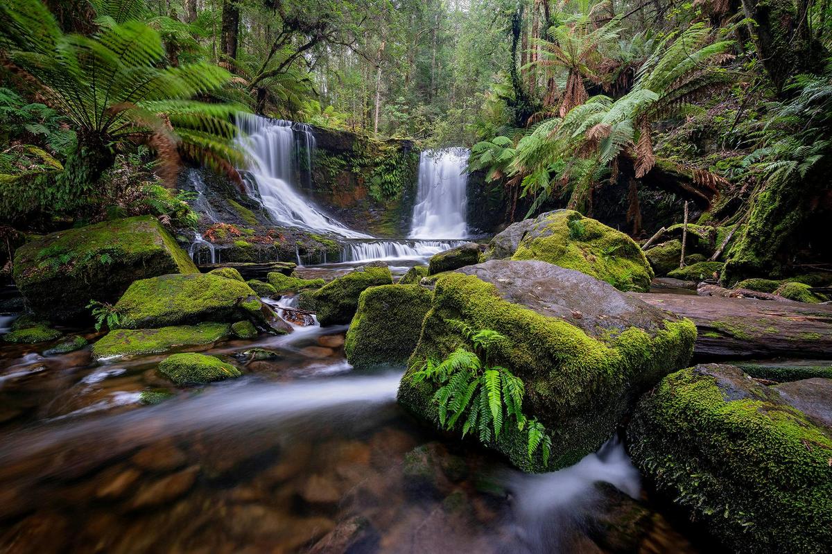 Mt Field & South West Tasmania