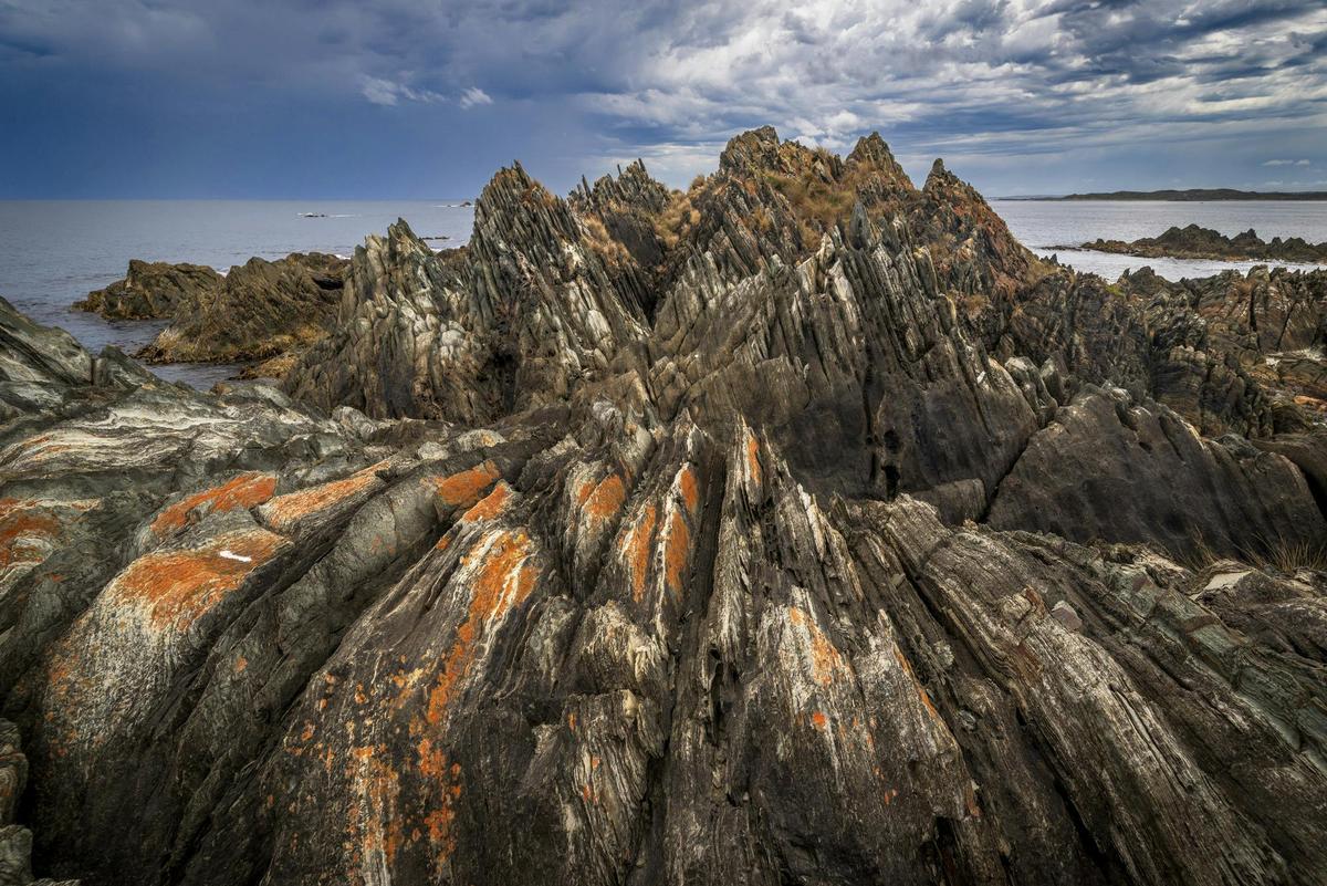 The Complete Tarkine: Rainforest & Coast 7 Day Photography Workshop