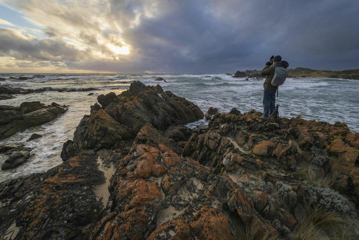The Complete Tarkine: Rainforest & Coast 7 Day Photography Workshop