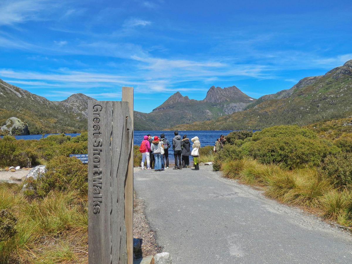 Cradle Mountain Park Explorer Half Day Tour