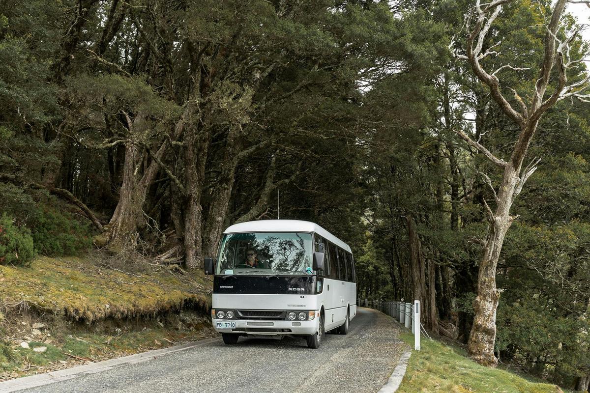 Cradle Mountain Park Explorer Day Tour