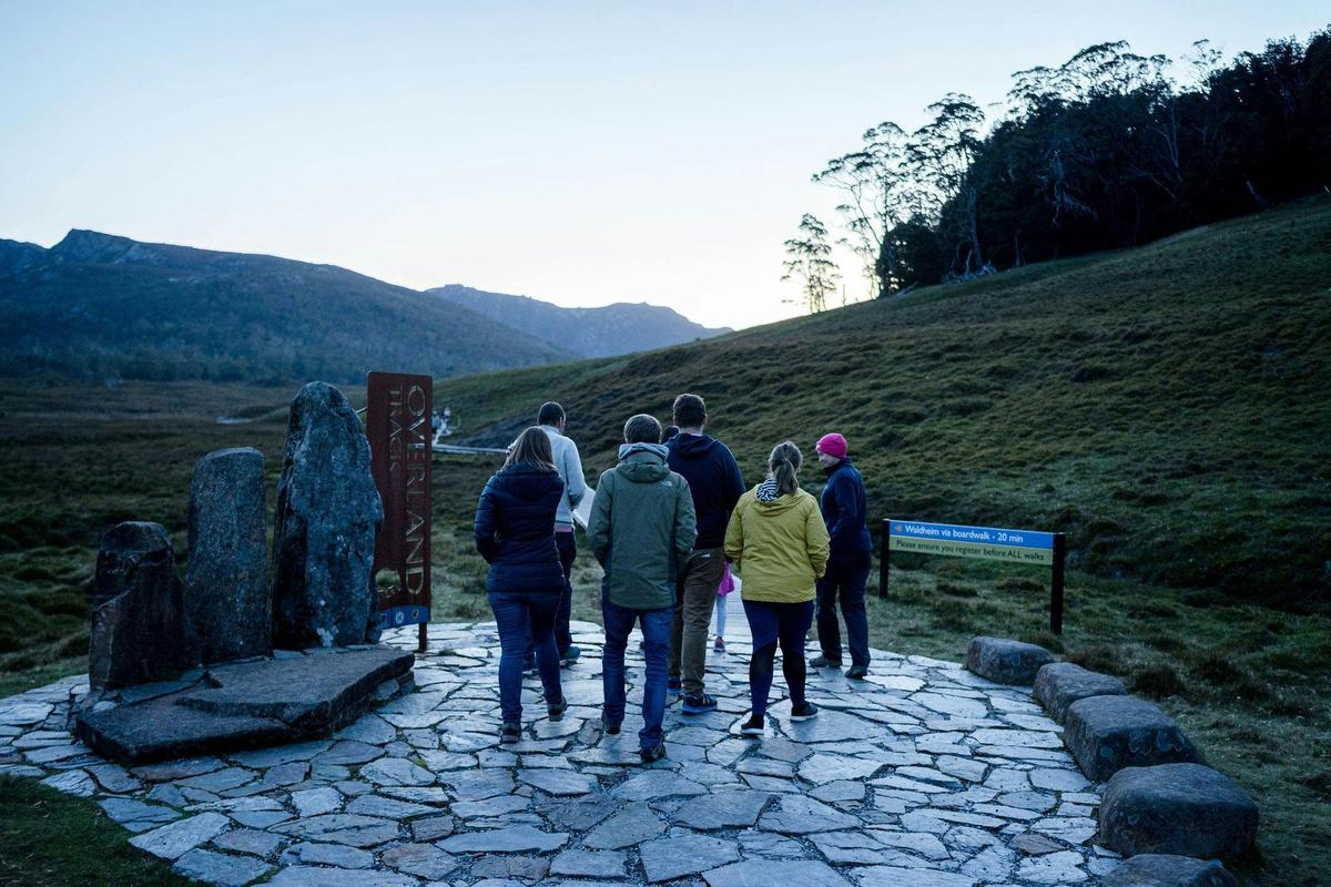 Cradle Mountain Night Spotting Tour