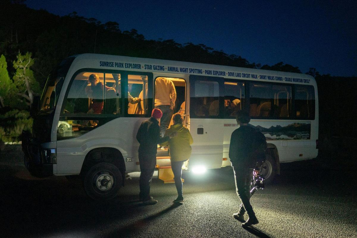 Cradle Mountain Night Spotting Tour