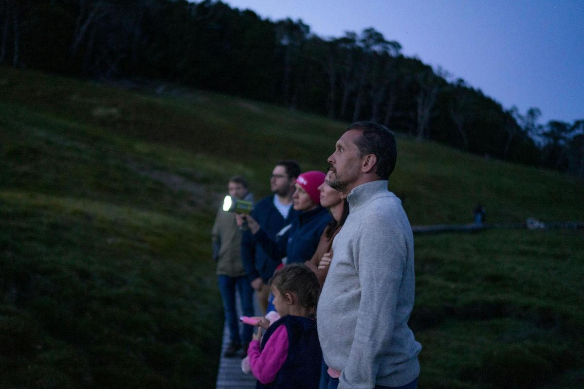 Cradle Mountain Night Spotting Tour