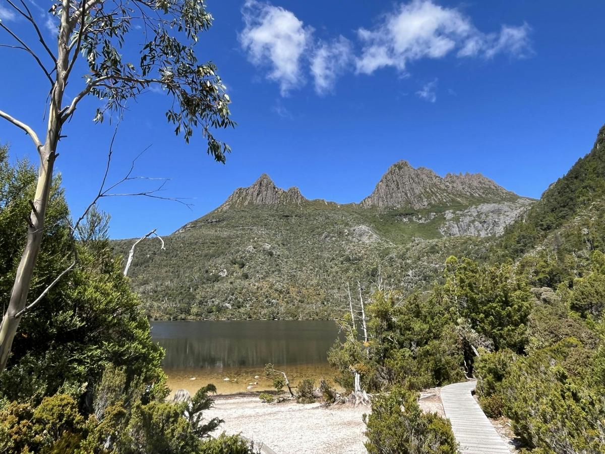 Cradle Mountain Dove Lake Day Tour