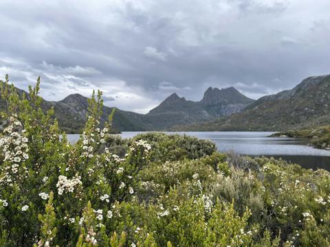 McDermott's Cradle Mountain Tours