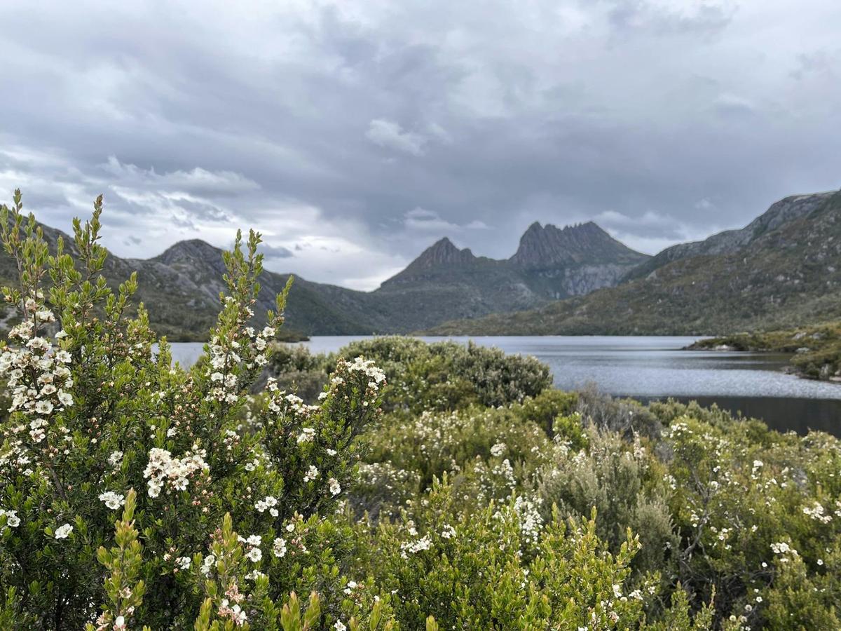 Views of Cradle Mountain