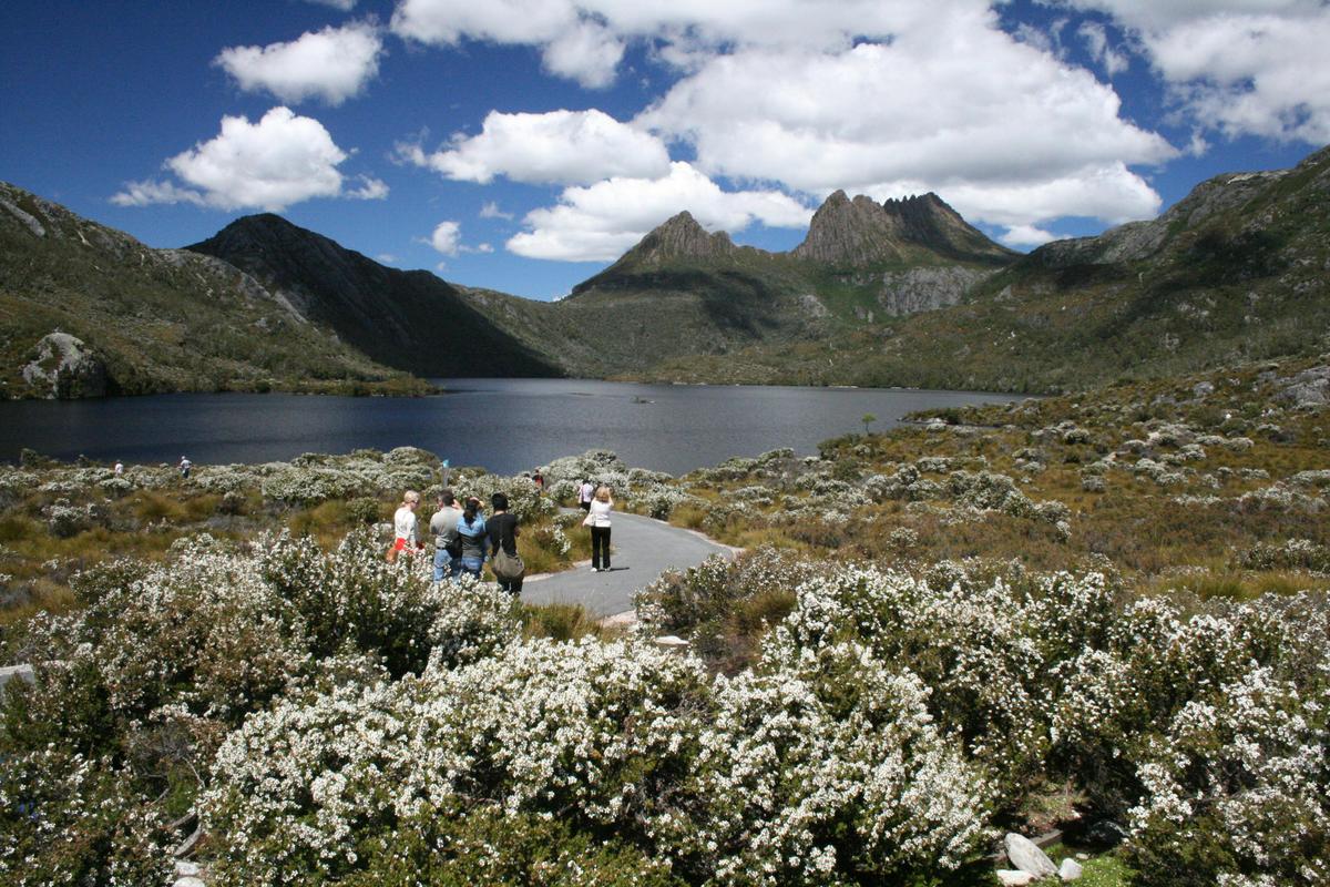 Cradle Mountain Park Explorer Half Day Tour