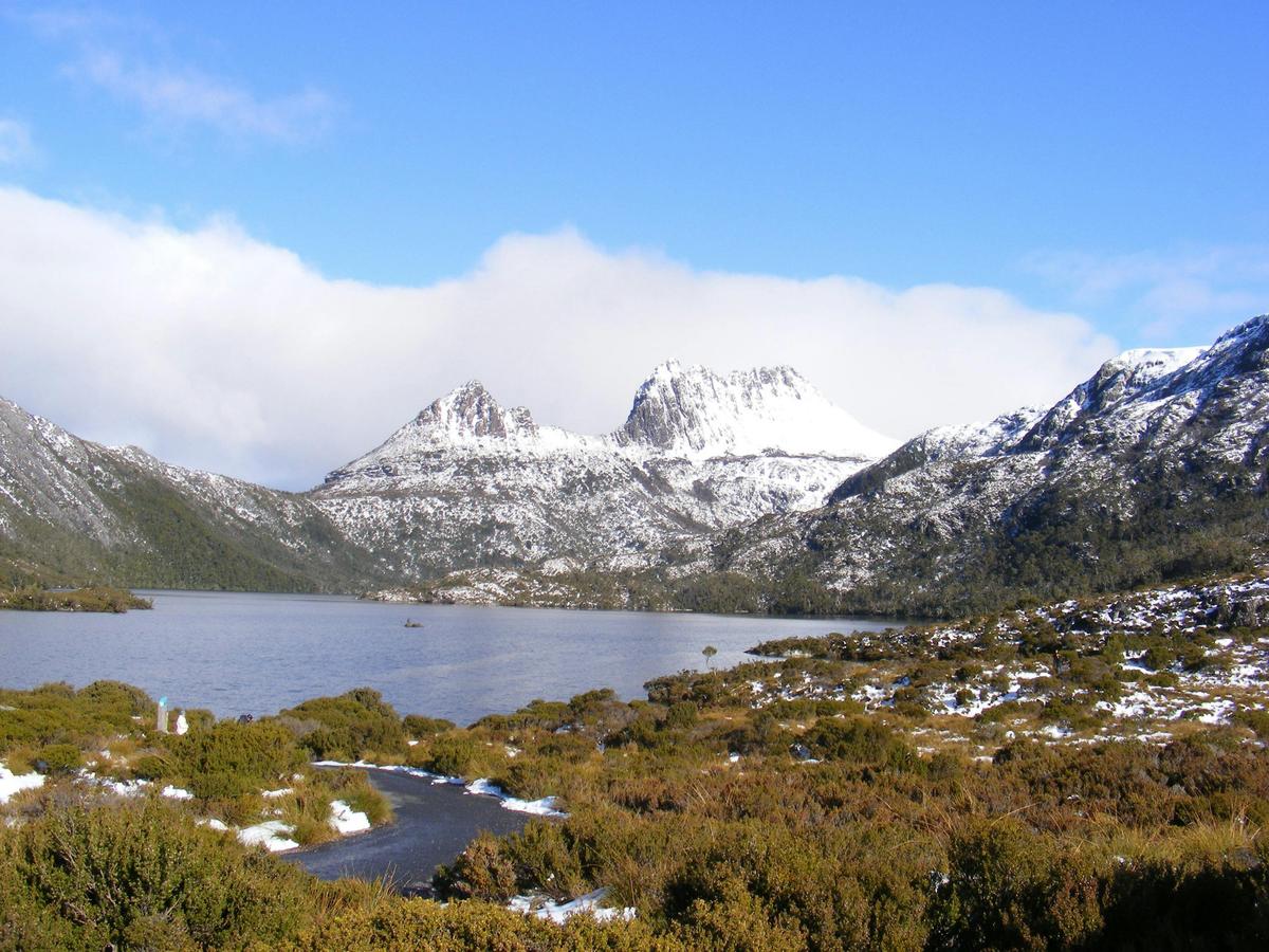 Cradle Mountain Park Explorer Half Day Tour