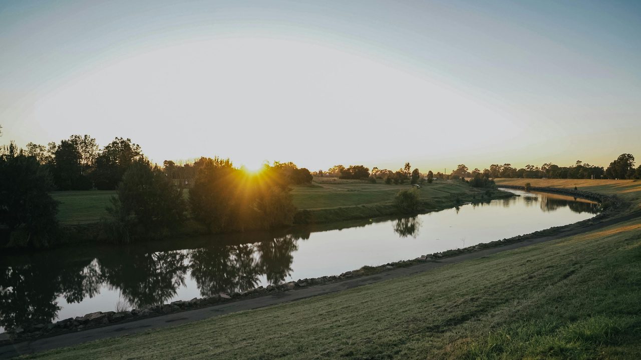 The Levee Riverbank