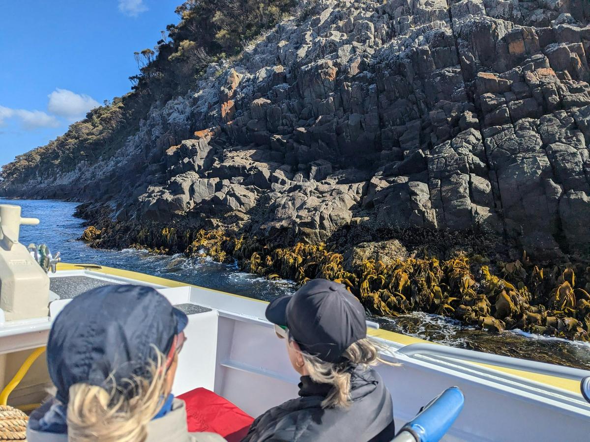 Bruny Island 3-Day Pack-Free Walk
