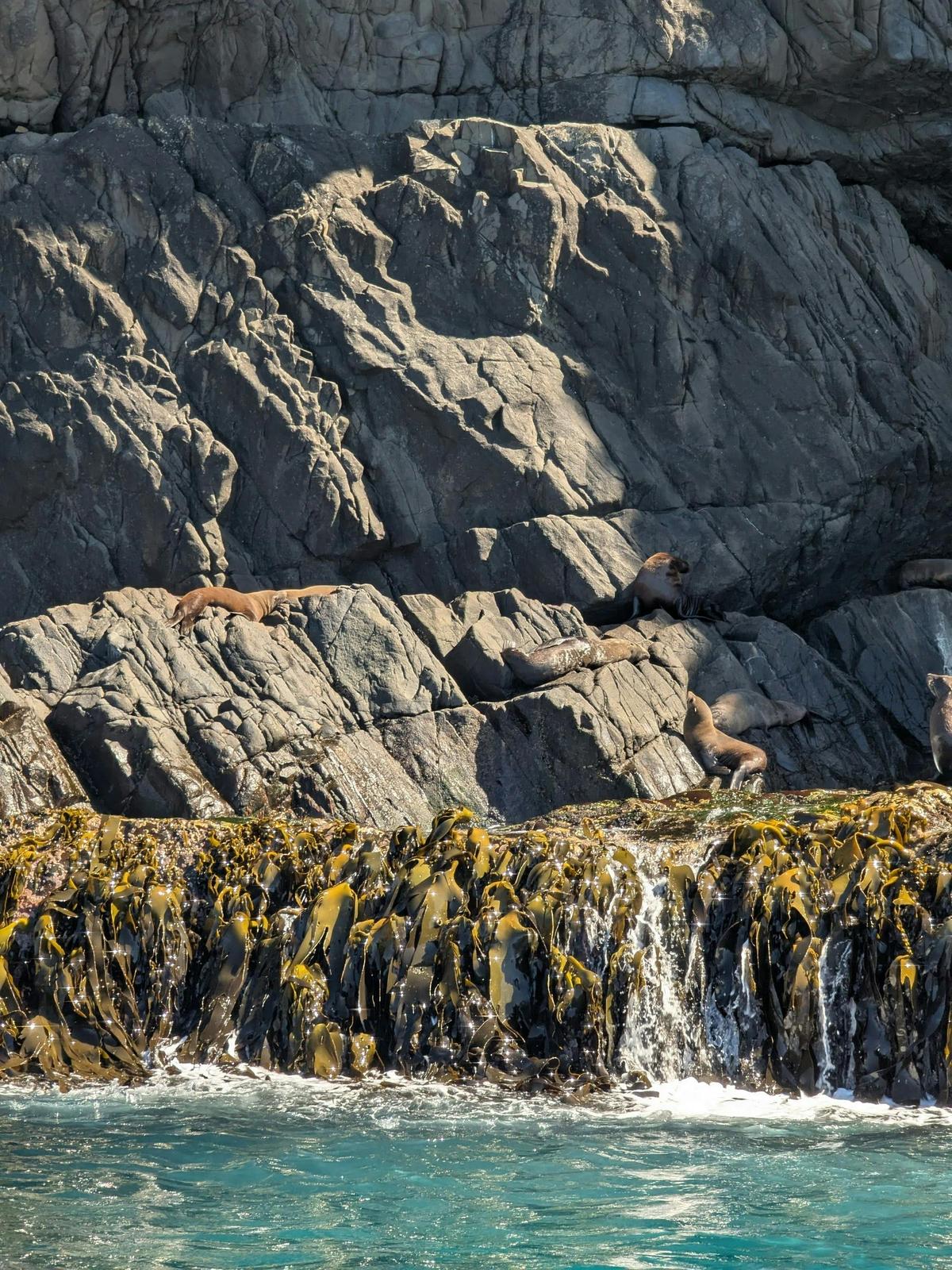 Bruny Island 3-Day Pack-Free Walk