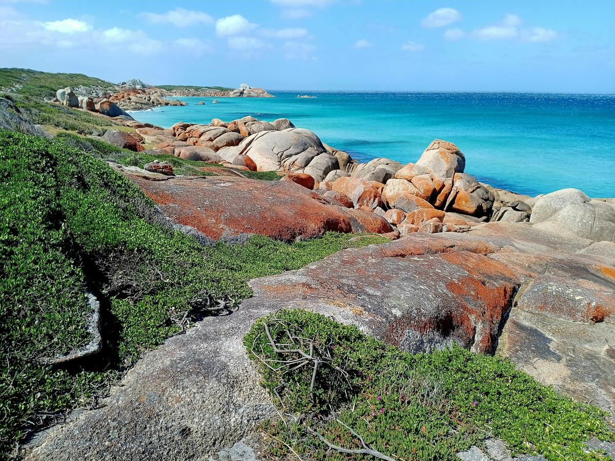 Bay of Fires Pack Free Walk