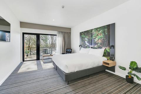 Premium Room 1 King Bed View