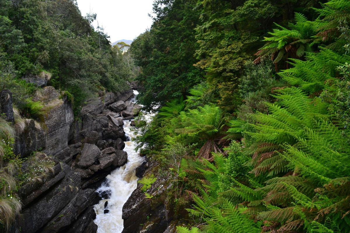 Leven River winding its way through the Canyon floor