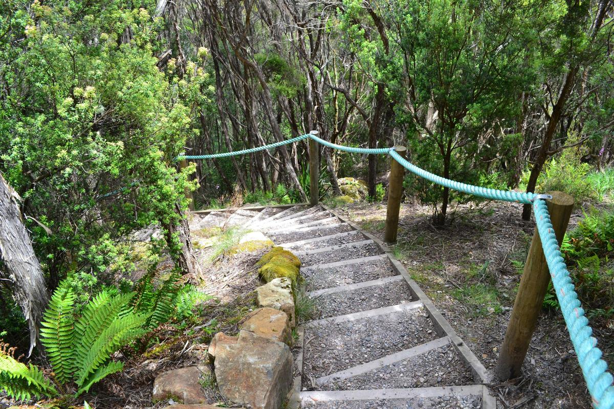 Leven Canyon Forest Stairs