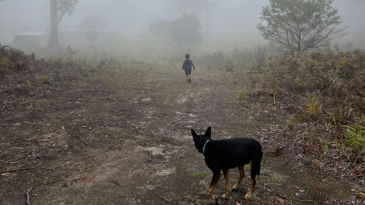 Misty Ridge