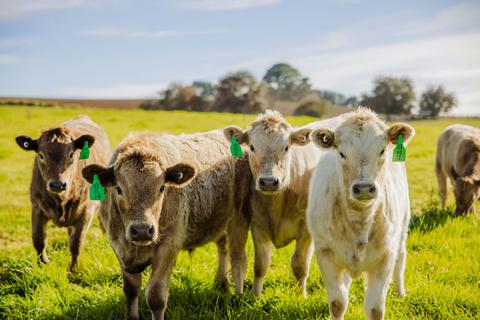Mudbar Farm