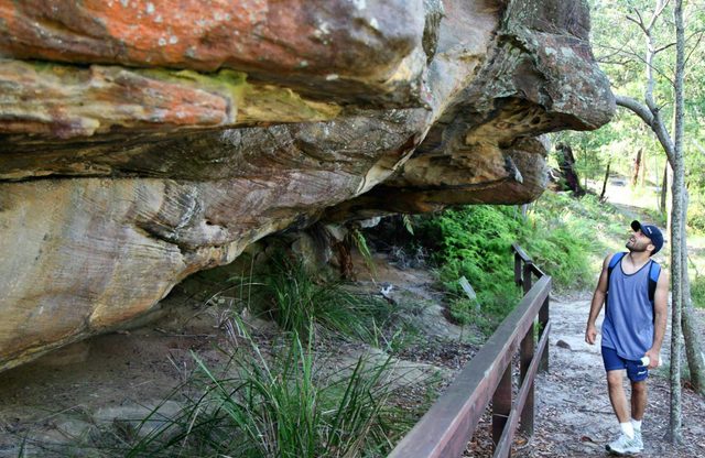 Red Hands Cave Walking Track - Ku-ring-gai Chase National Park