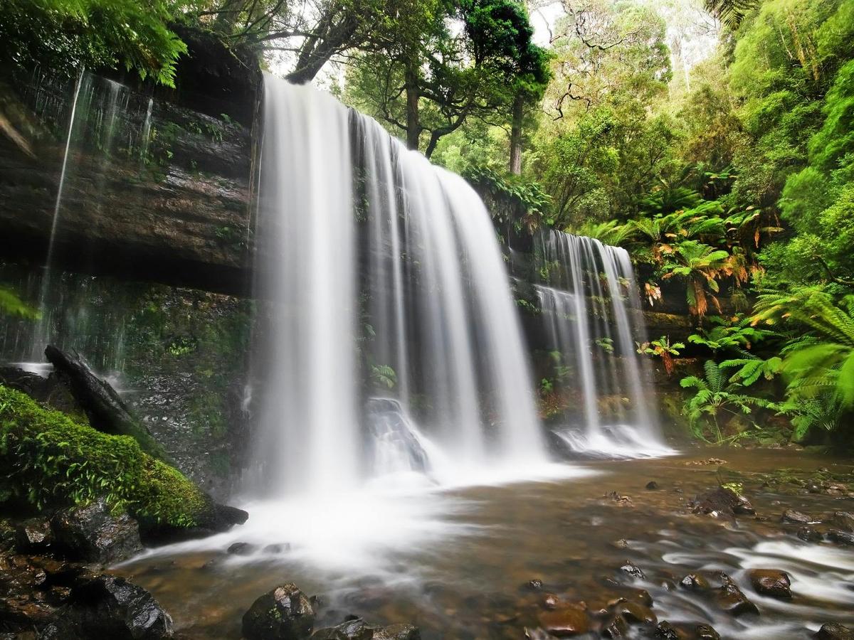 Epic Tasmania: Walks, Wildlife & Waterways