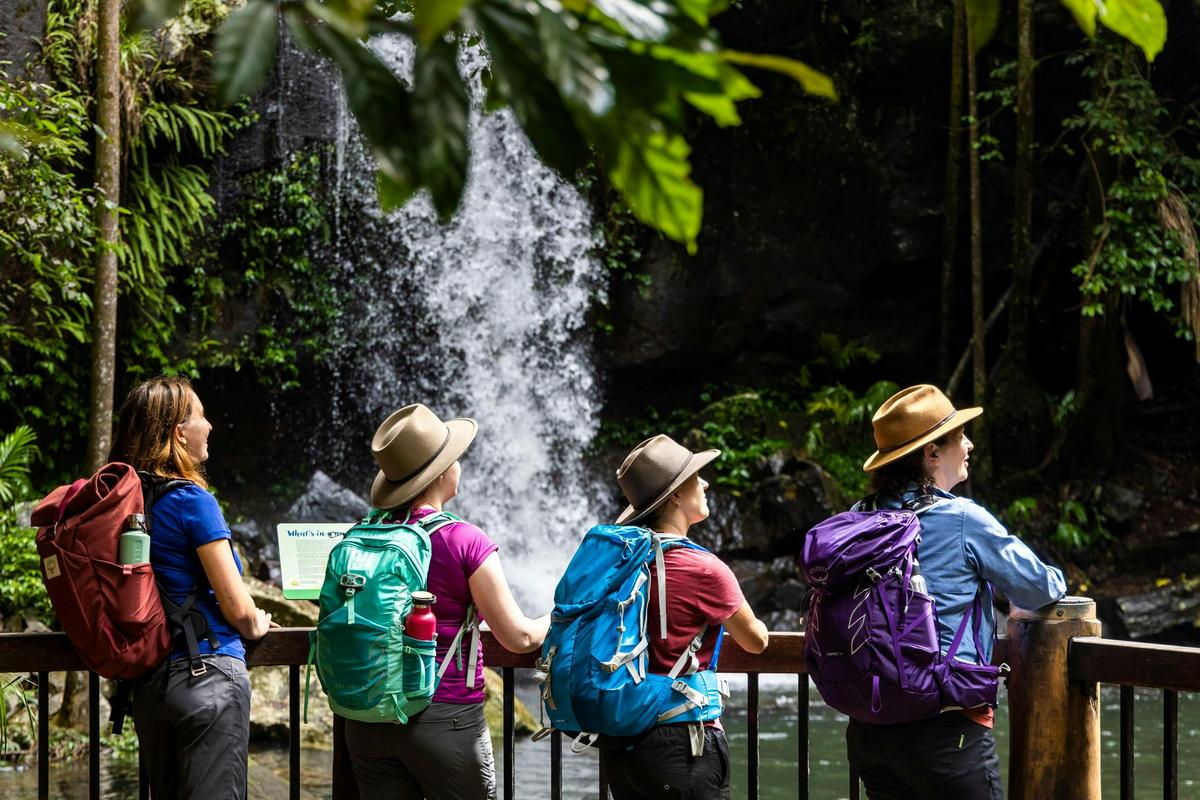 Guided Walks Scenic Rim