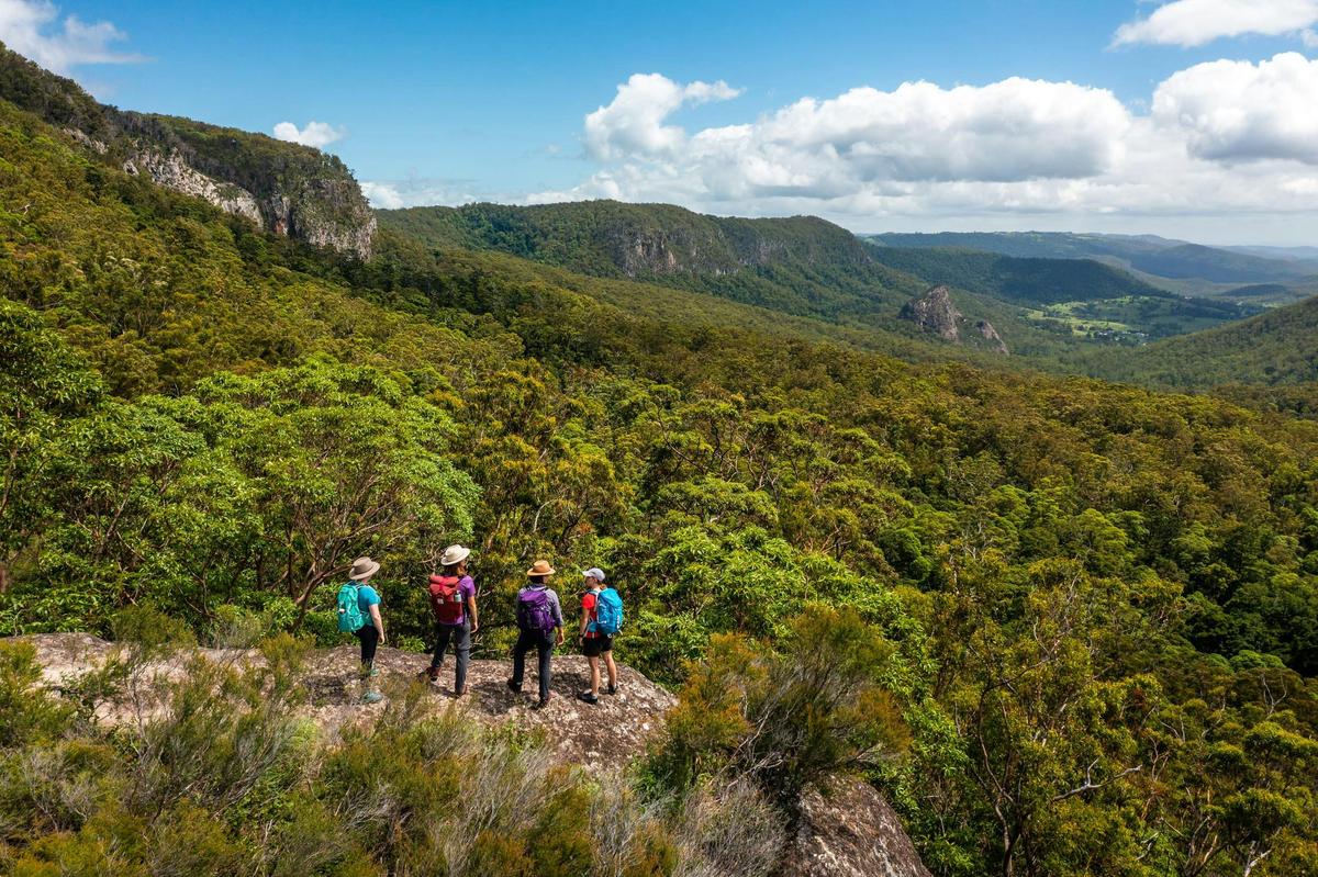 Lamington National Park guided walks