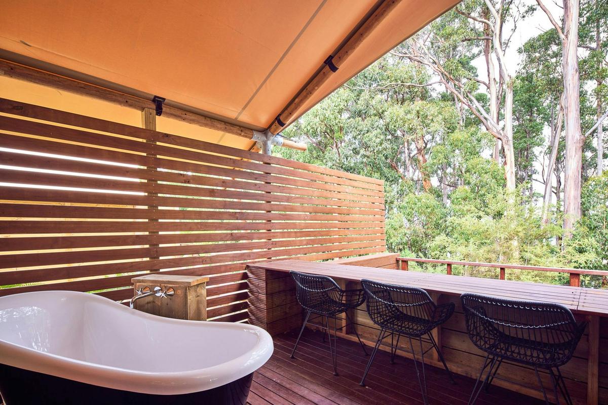 Stargazing Safari Tent