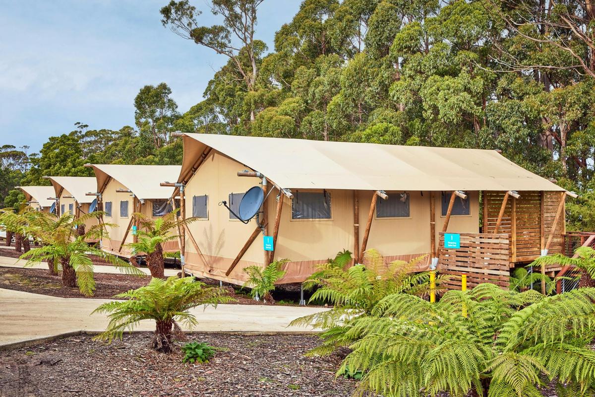 Stargazing Safari Tent