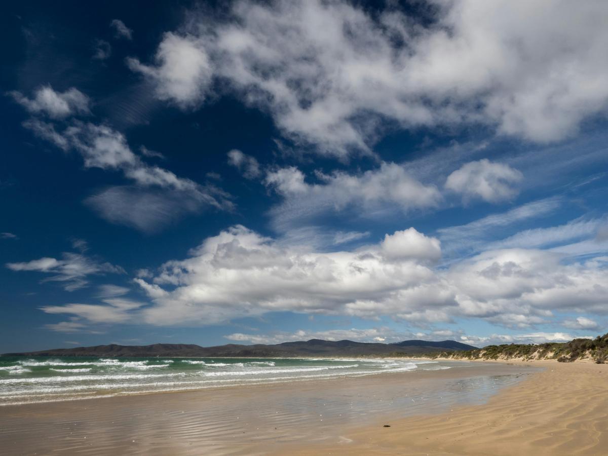 Narawntapu National Park