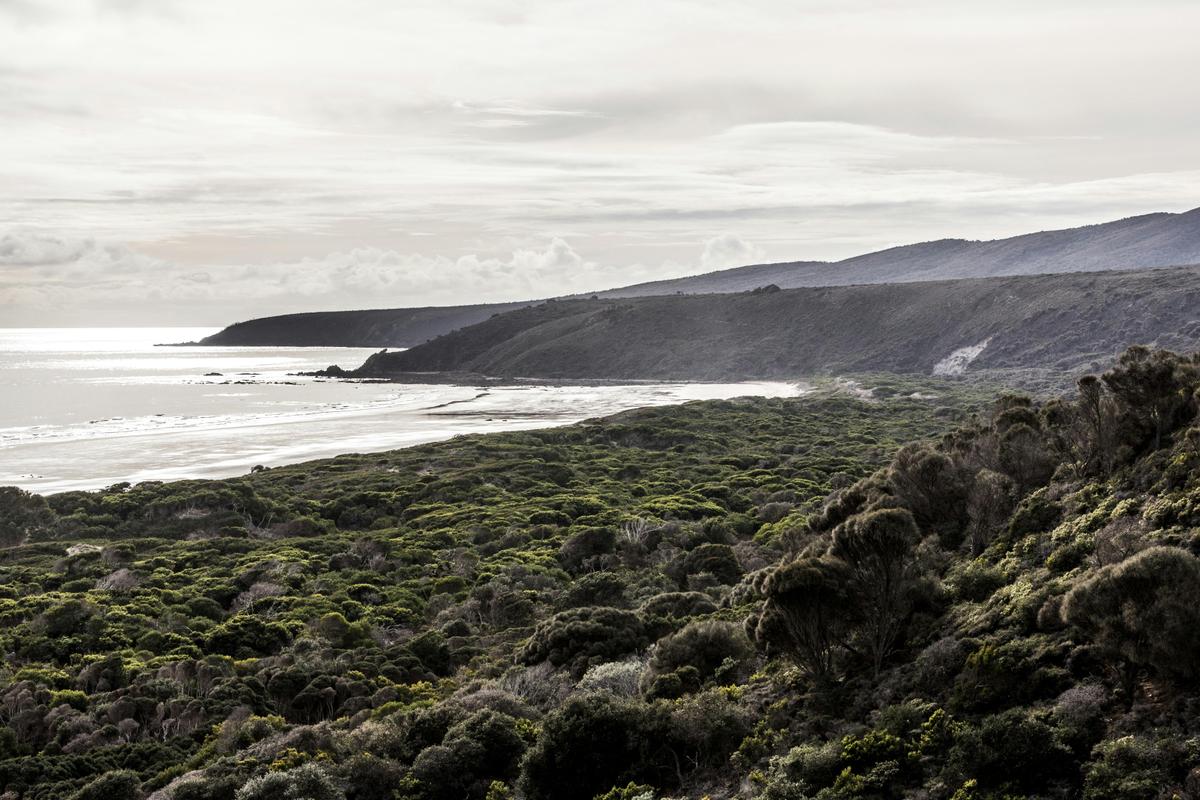 Narawntapu National Park