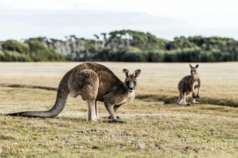 Narawntapu National Park
