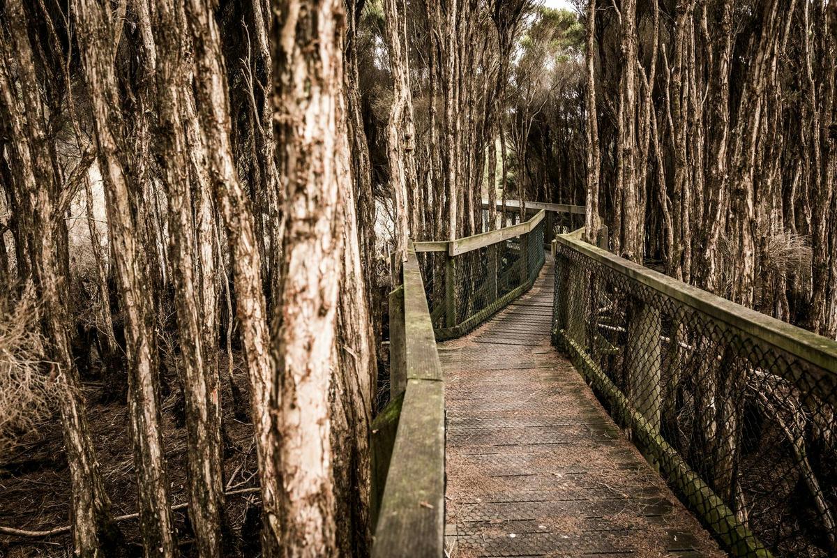 Narawntapu National Park