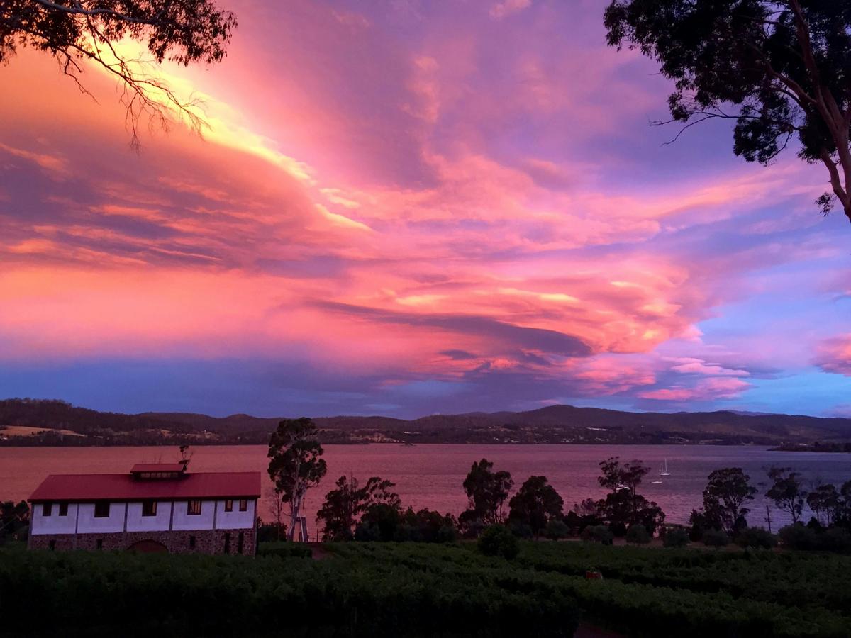 gorgeous Marions Vineyard sunset