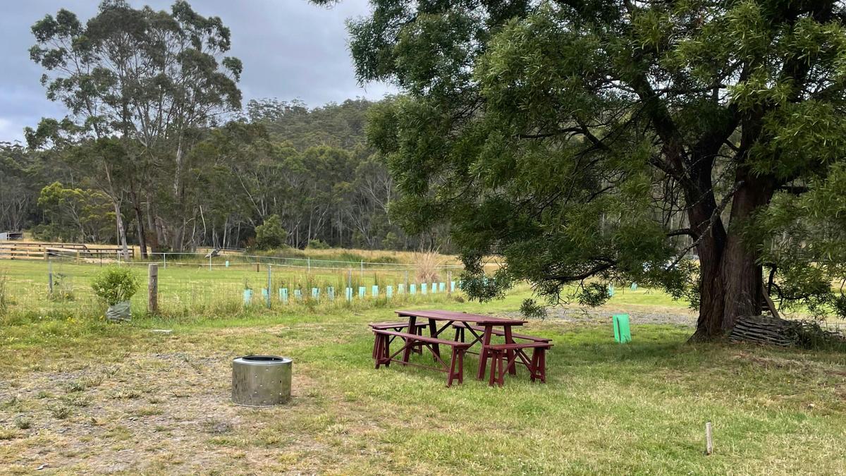 PC Campsites Taranna