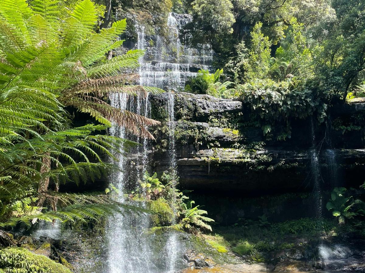 Mount Field National Park
