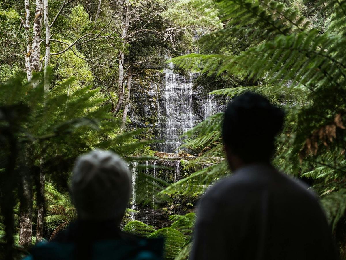 Mount Field National Park