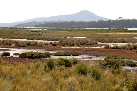 Moulting Lagoon
