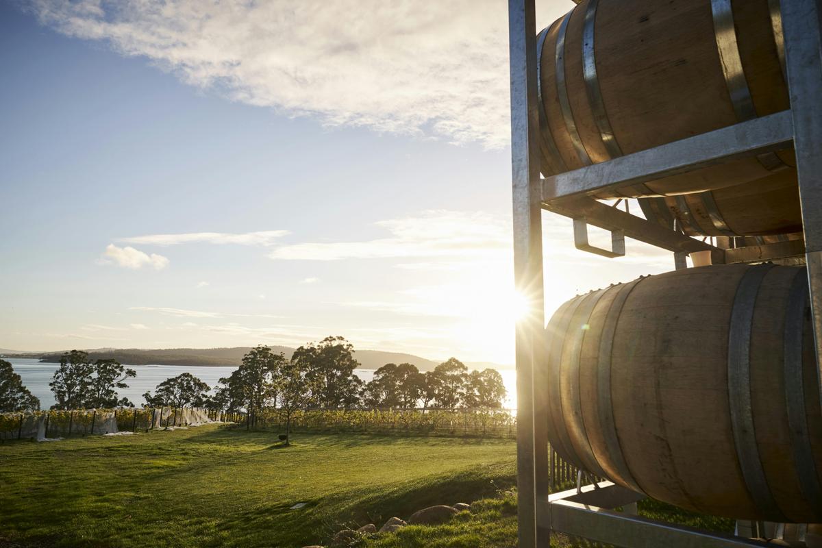 Winery adjoining our scenic cellar door