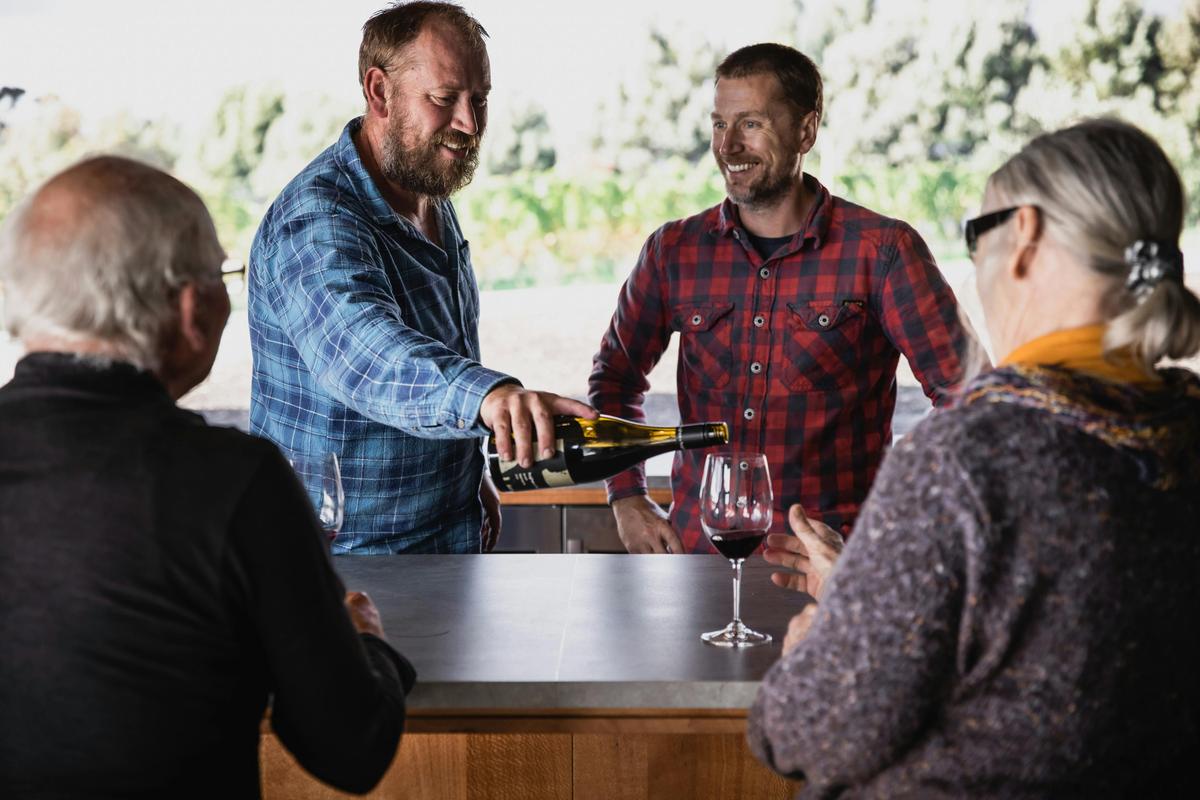 Guided tastings in the cellar door.
