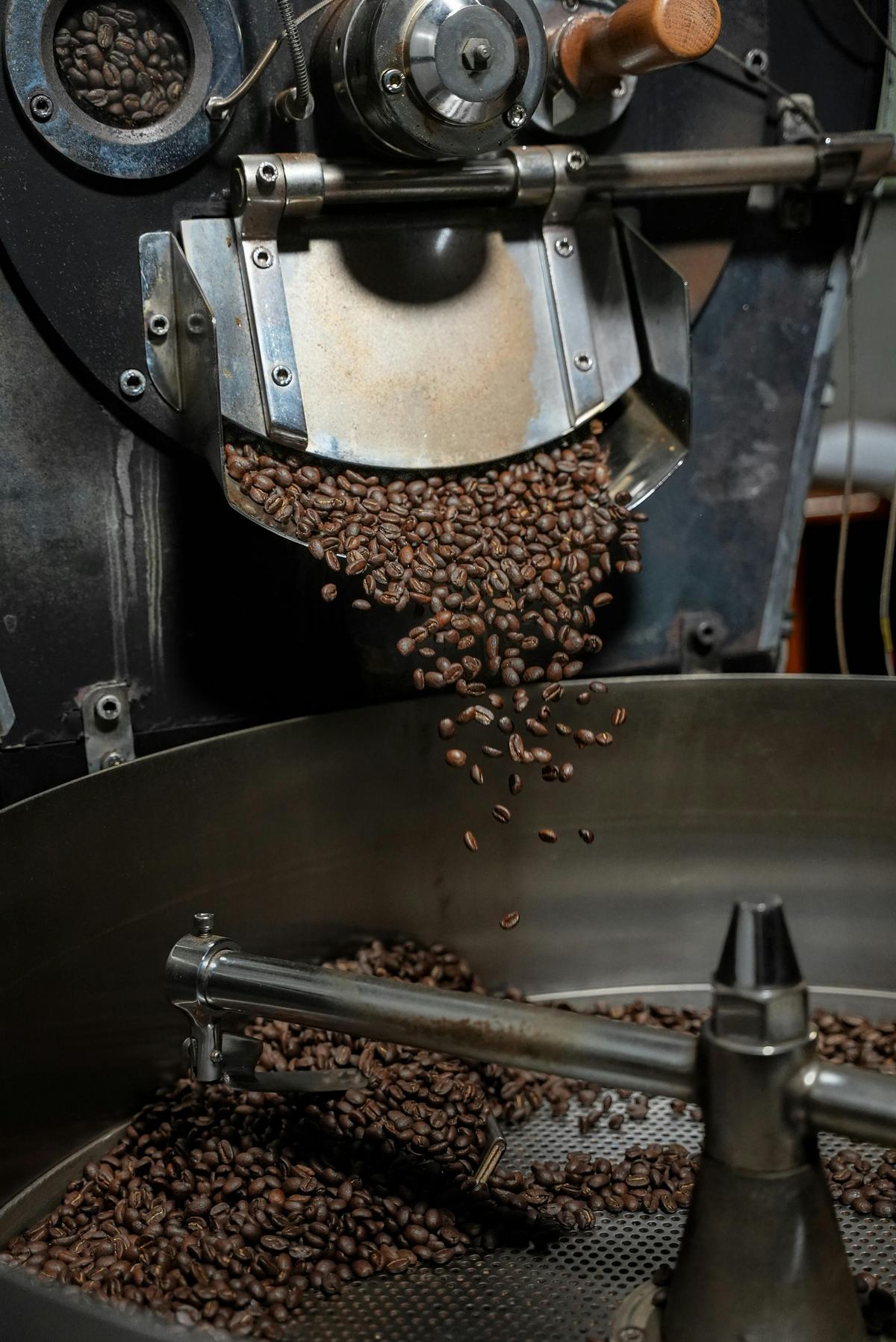 Freshly roasted coffee beans at Cheeky Devil Coffee Roasters