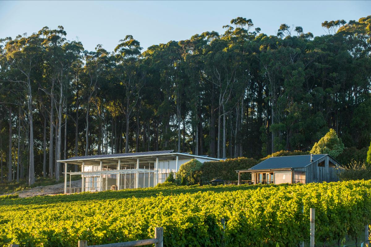 Our solar powered winery and cellar door offer sweeping views over the vineyard