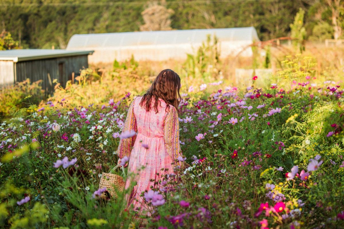 Wild gardens