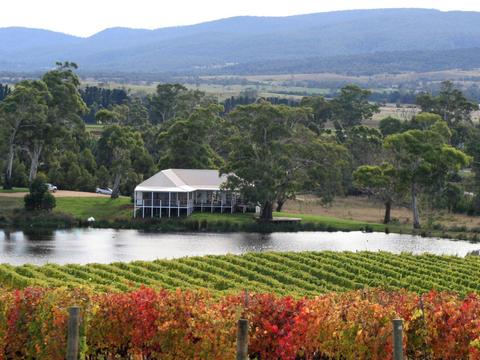 Milton Vineyard