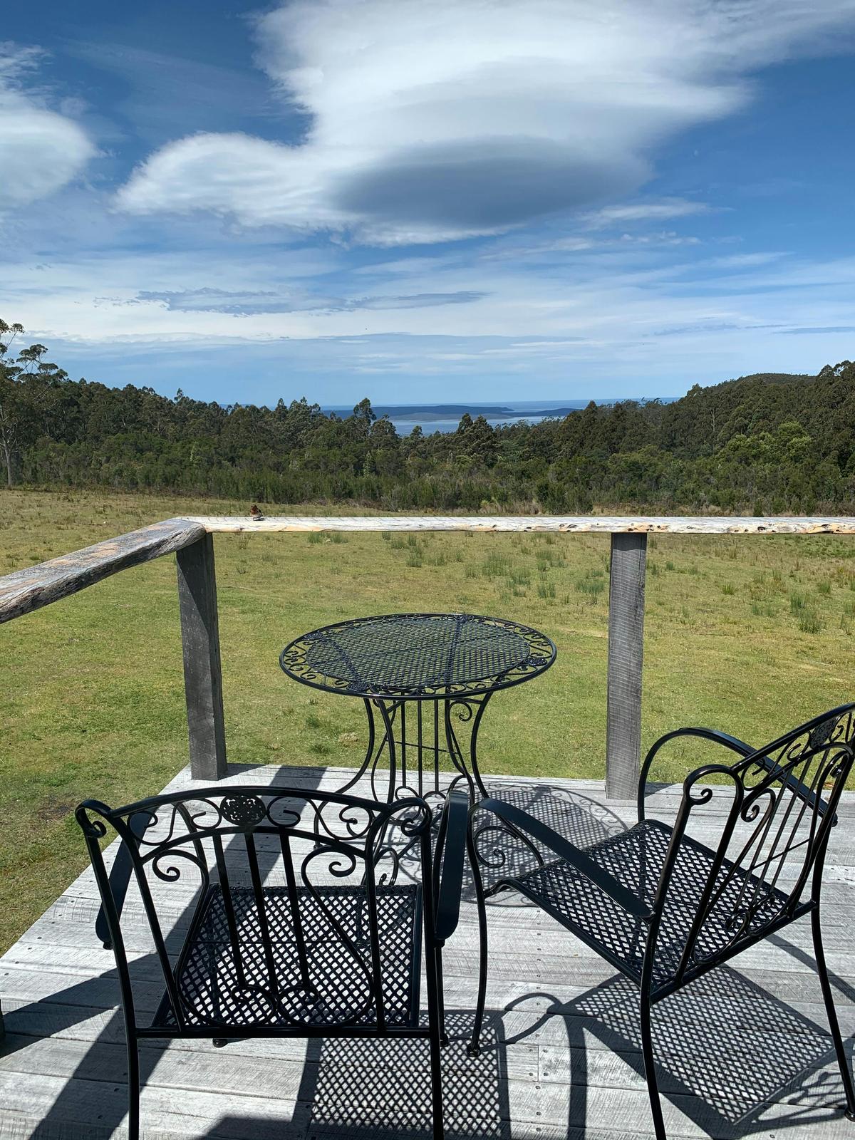 view